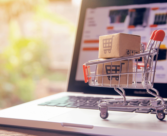 Code Calibre Support